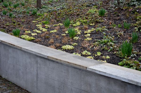 Concrete Wall Construction in Denham Springs