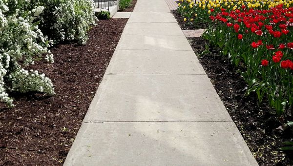 Cement Sidewalk Installation in Denham Springs