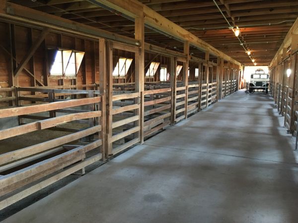 Barn Slab Construction in Denham Springs